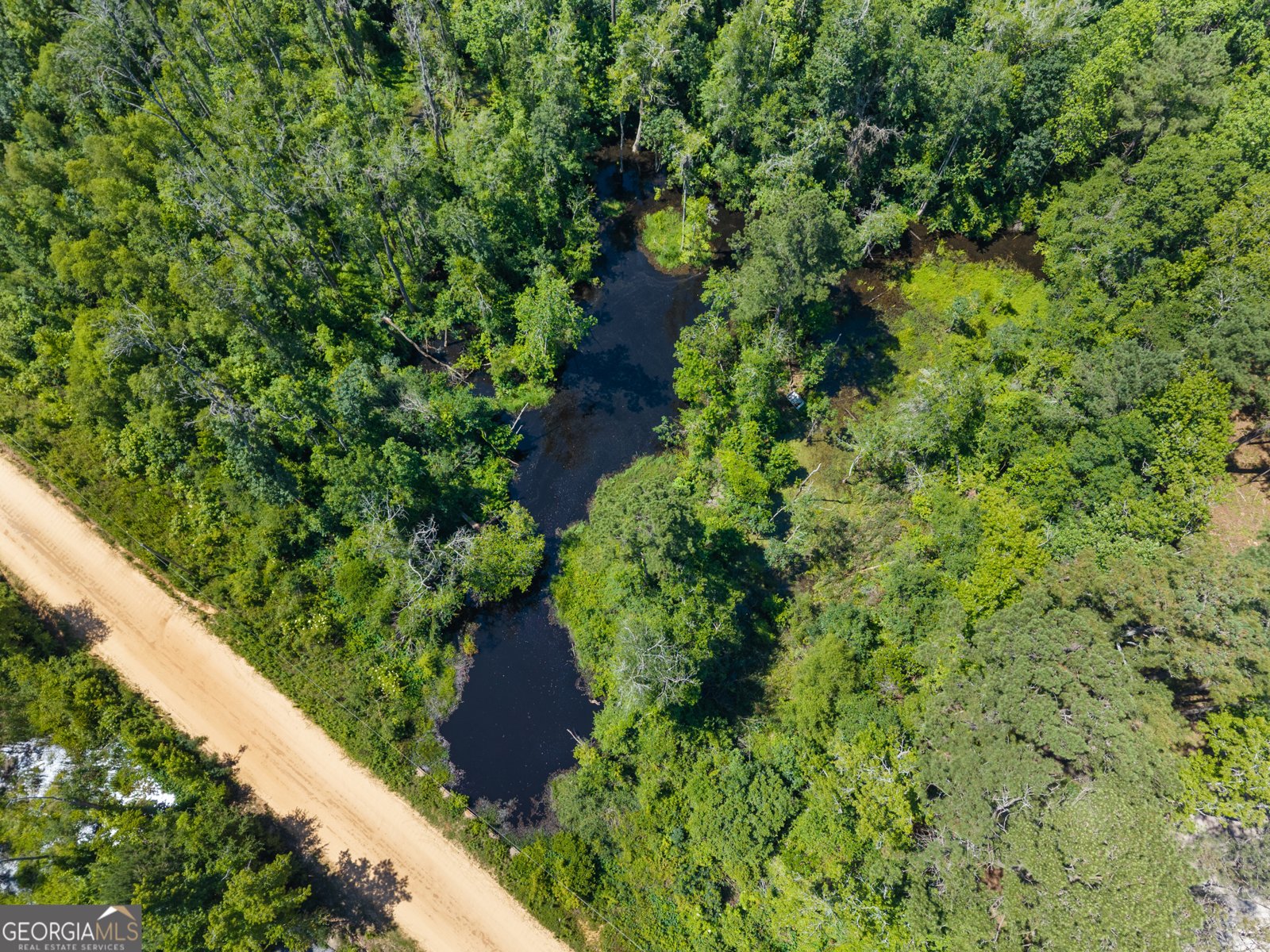 101 Doe Drive Brooklet - Photo 32