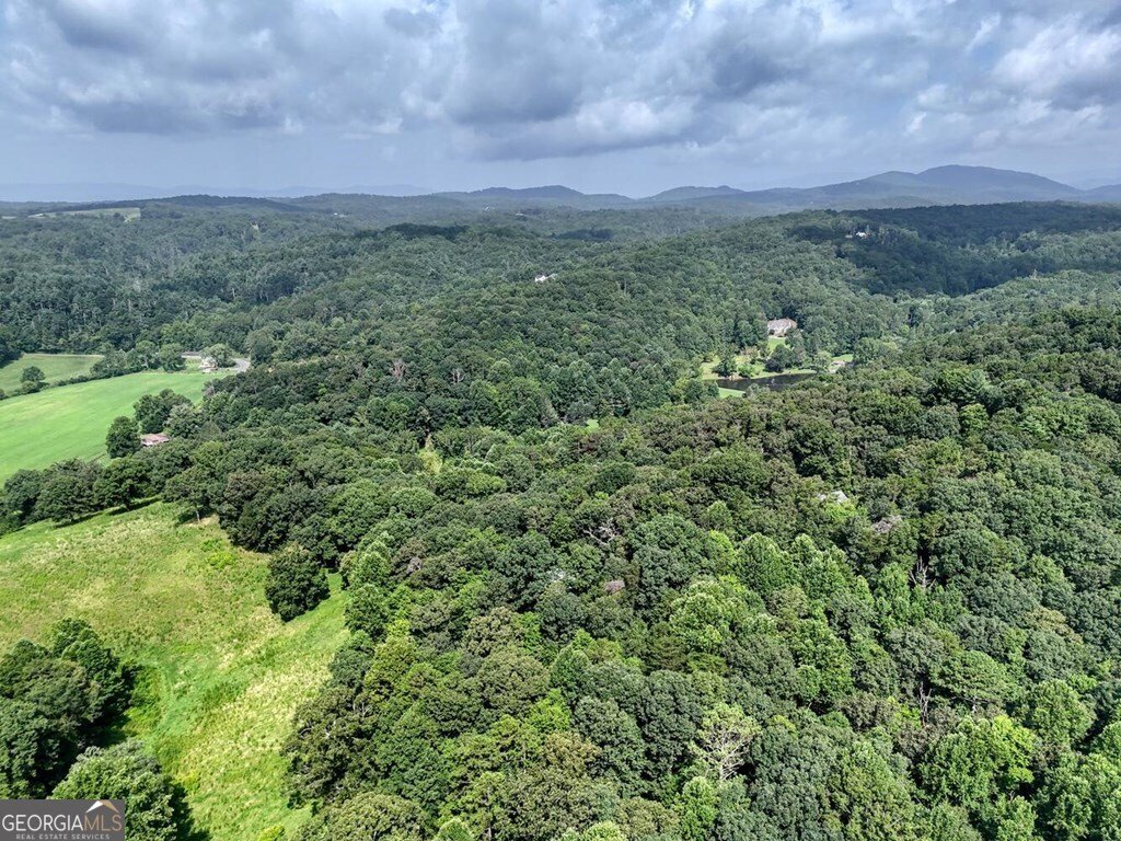 45 KD Lane Ellijay - Photo 44