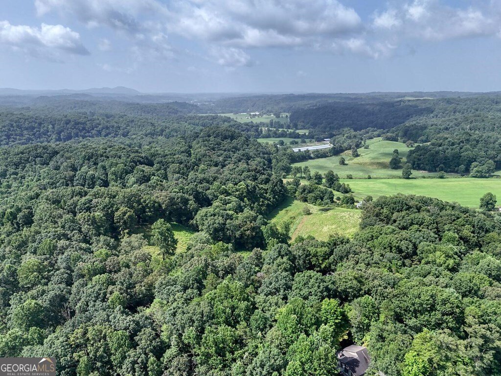45 KD Lane Ellijay - Photo 45