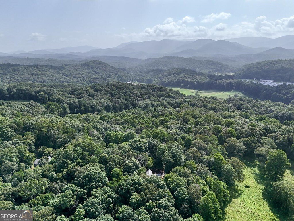45 KD Lane Ellijay - Photo 46