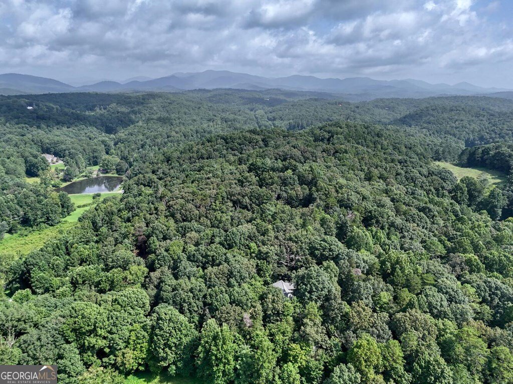 45 KD Lane Ellijay - Photo 47
