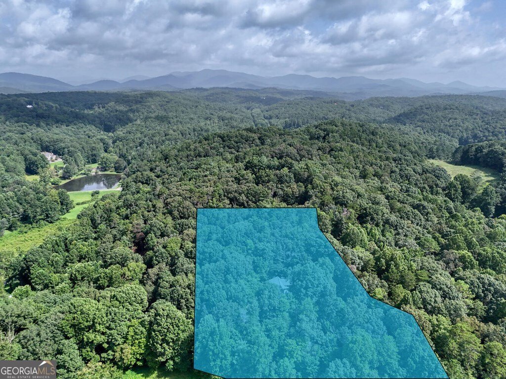 45 KD Lane Ellijay - Photo 48