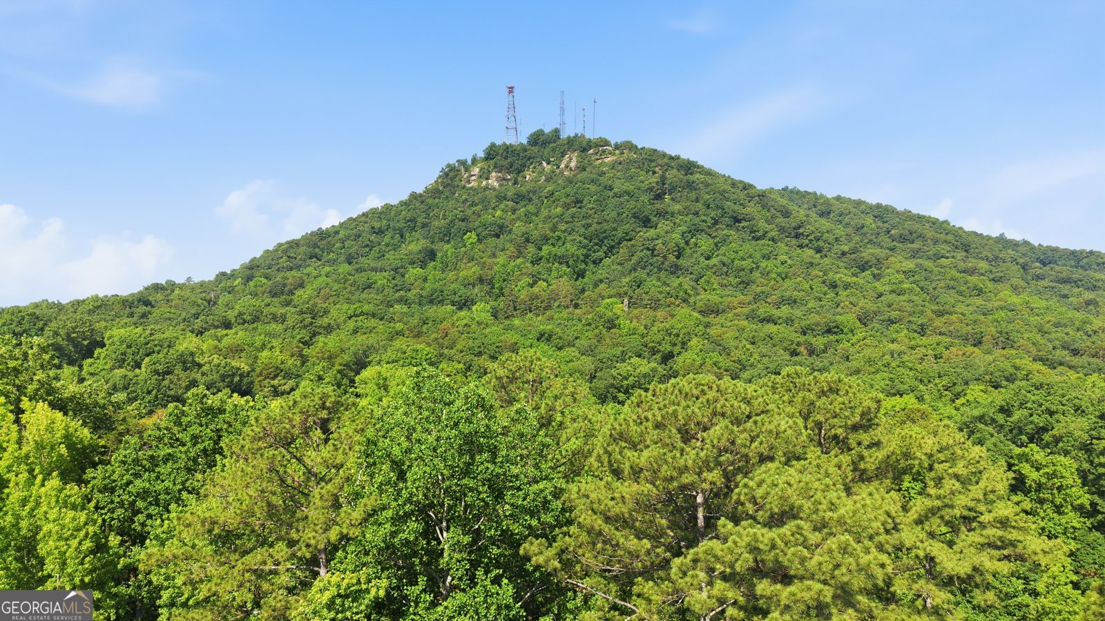 33 Cherokee Hills Lane Toccoa - Photo 57