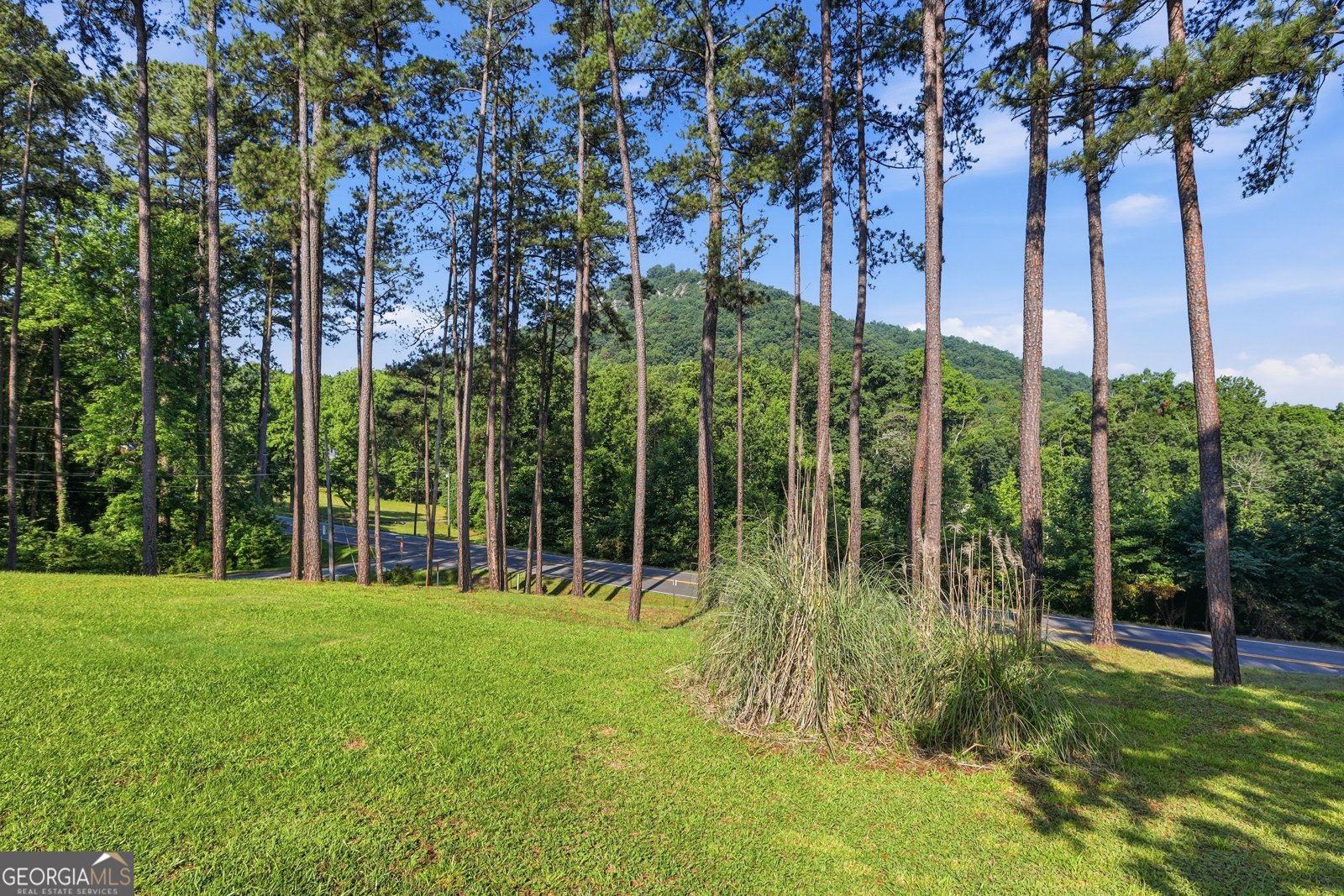 33 Cherokee Hills Lane Toccoa - Photo 6