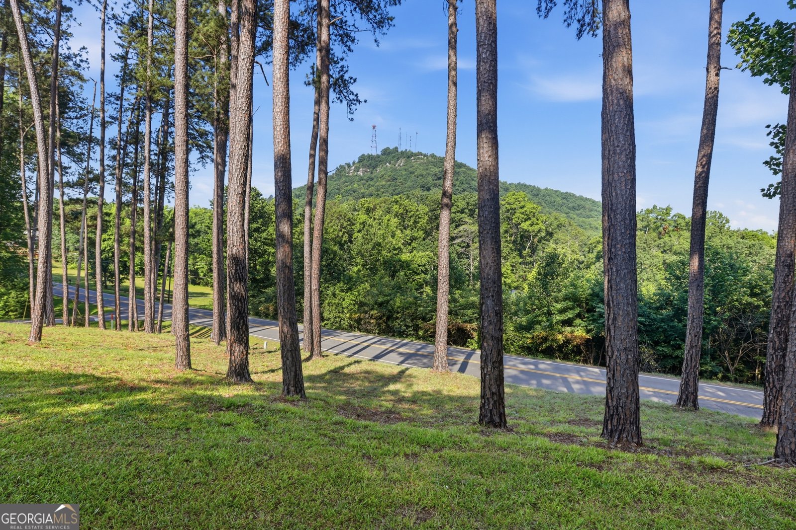 33 Cherokee Hills Lane Toccoa - Photo 7