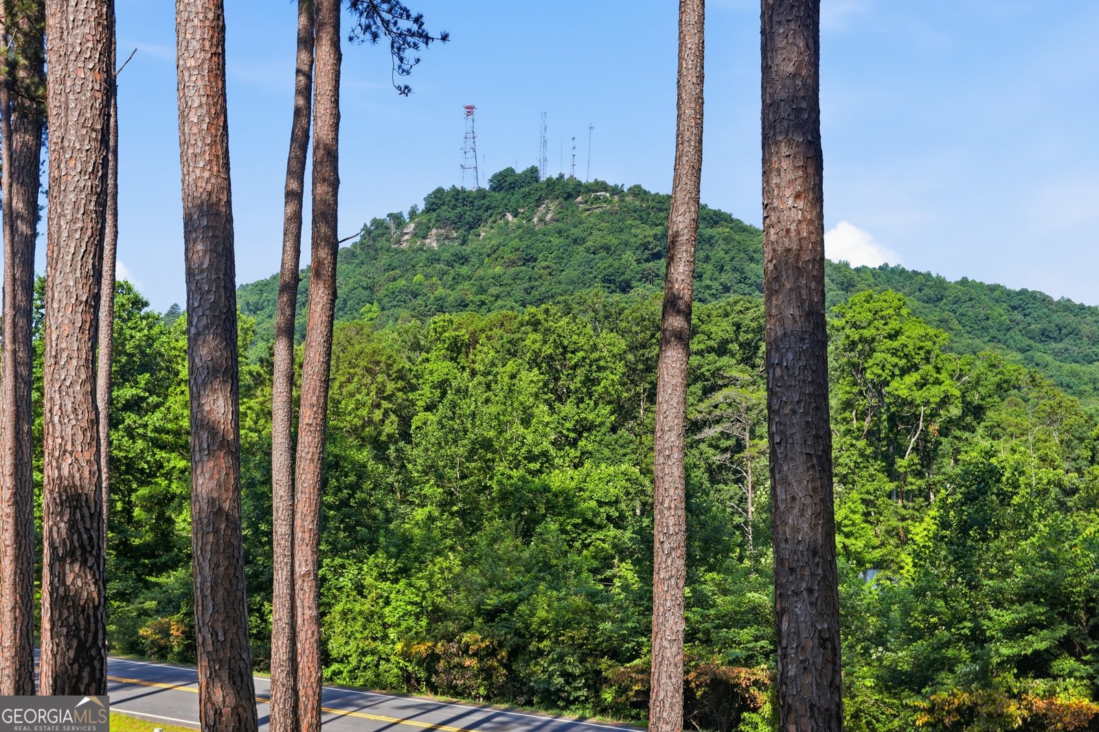 33 Cherokee Hills Lane Toccoa - Photo 8