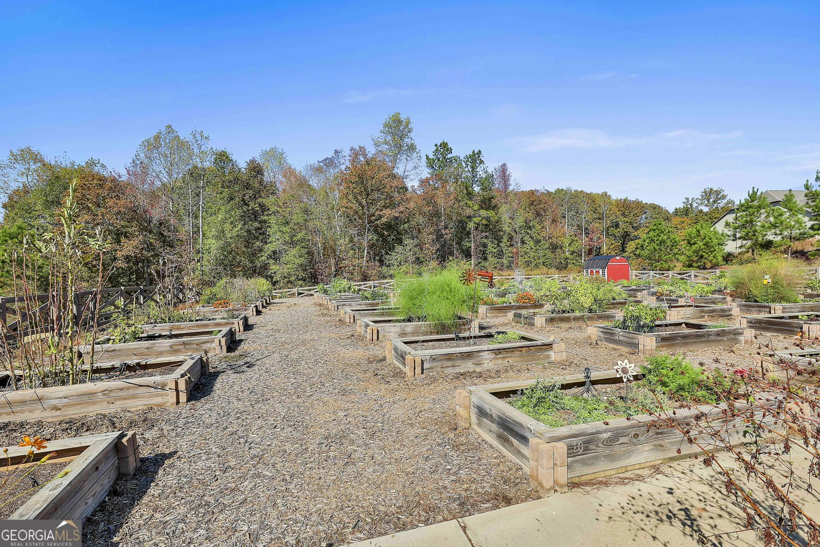 502 Hazelnut Drive Peachtree City - Photo 44