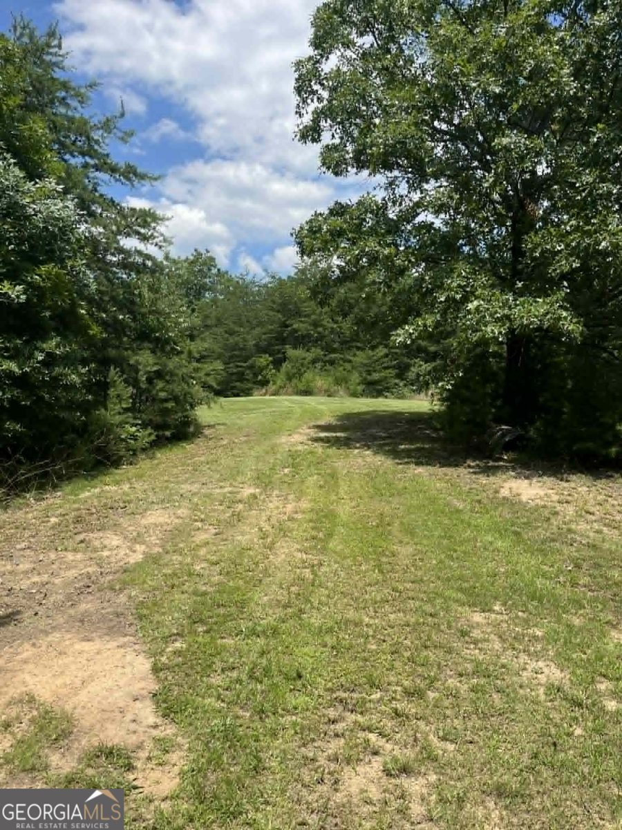 10667 Highway 411 Chatsworth - Photo 30