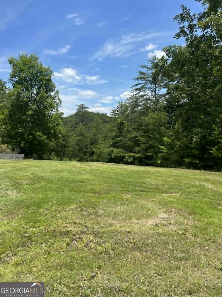 10667 Highway 411 Chatsworth - Photo 31