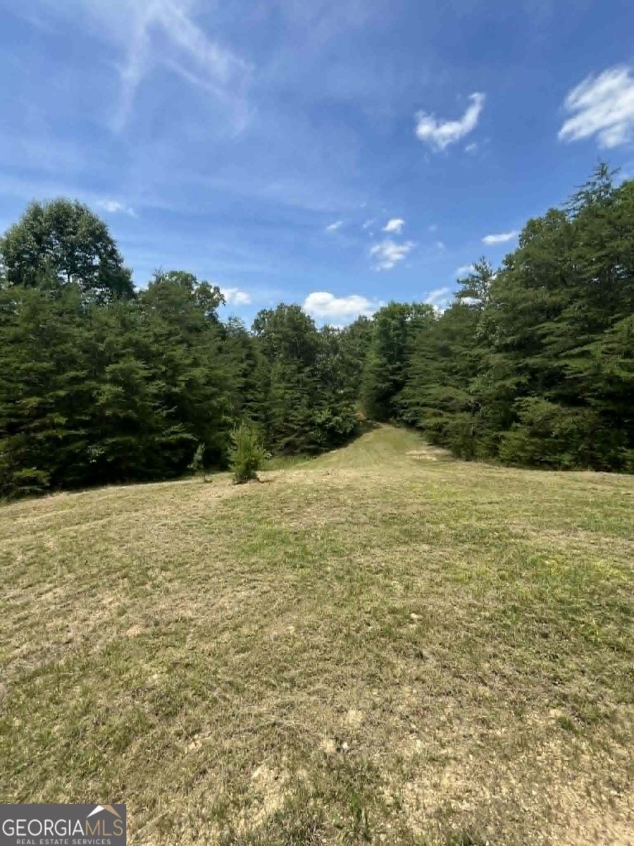 10667 Highway 411 Chatsworth - Photo 33