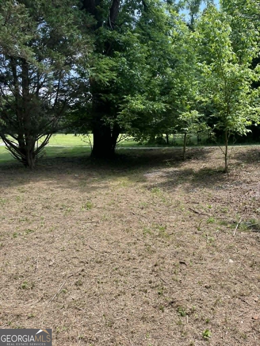 10667 Highway 411 Chatsworth - Photo 36