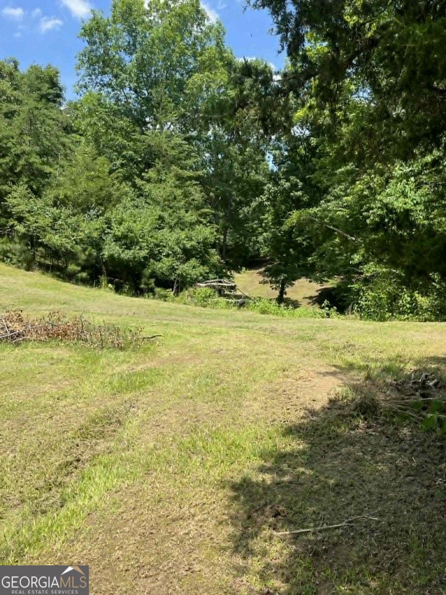 10667 Highway 411 Chatsworth - Photo 39