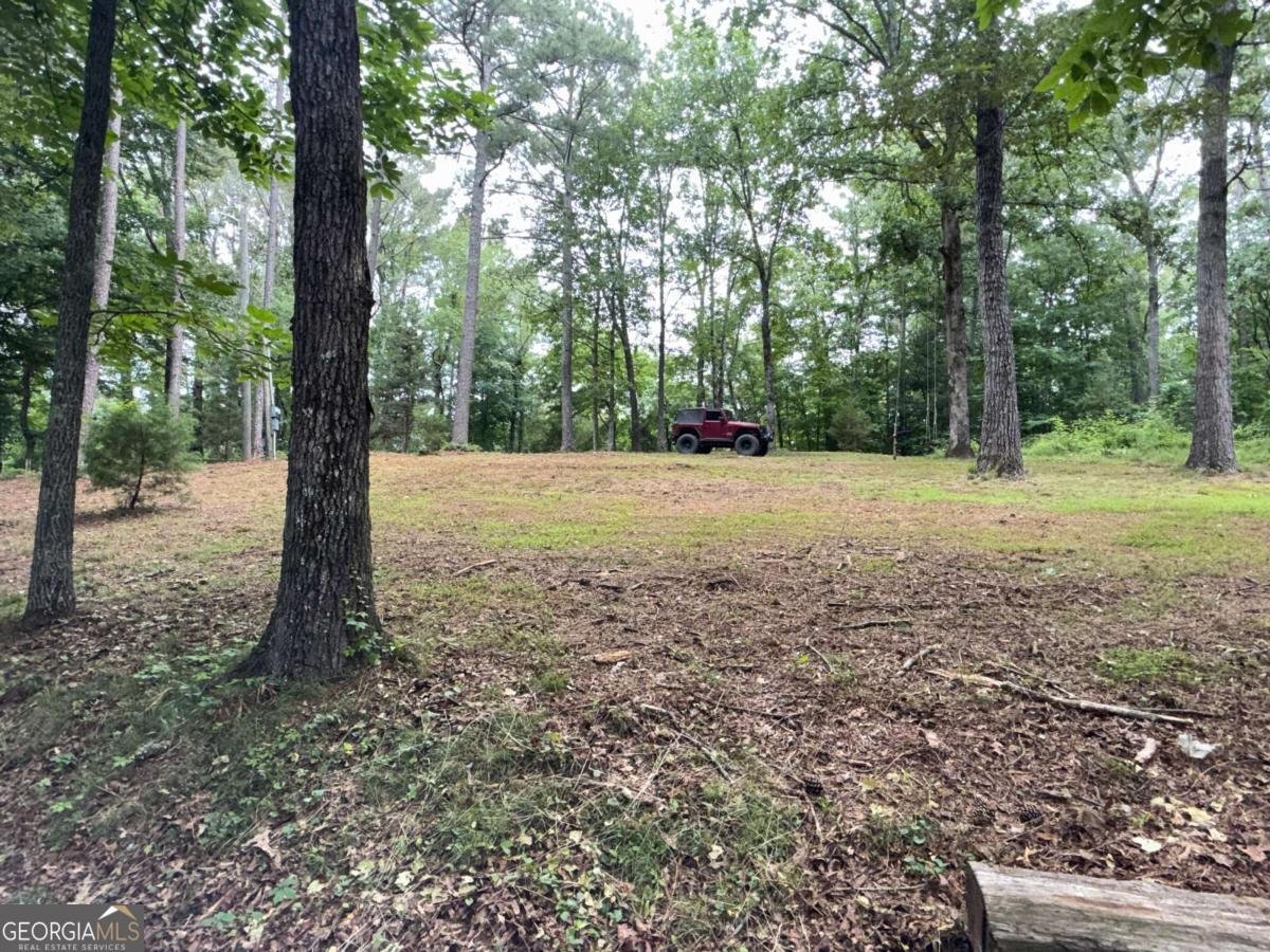 150 Creek Bank Drive Talking Rock - Photo 28