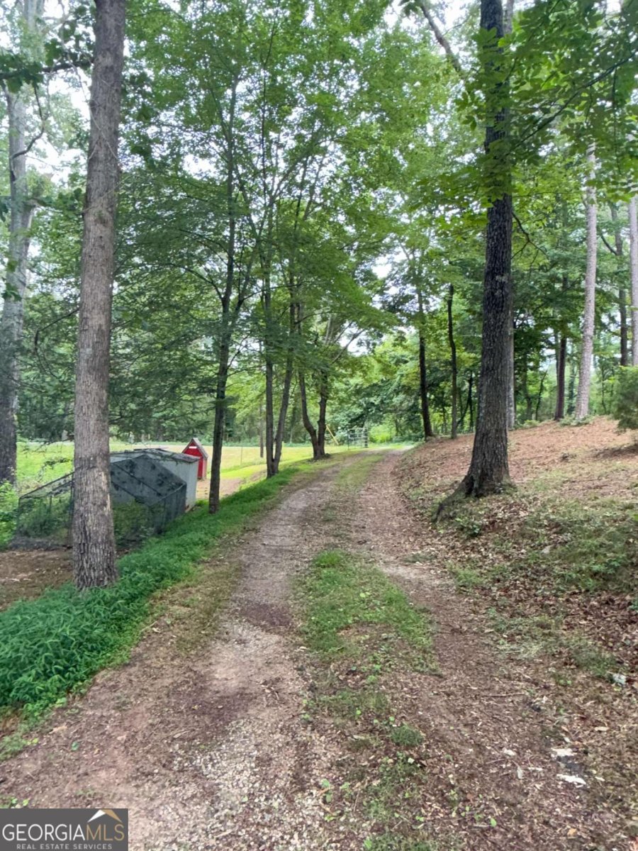150 Creek Bank Drive Talking Rock - Photo 29