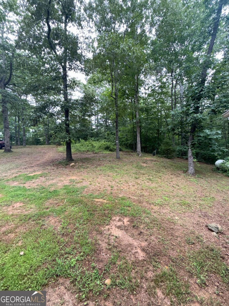 150 Creek Bank Drive Talking Rock - Photo 7