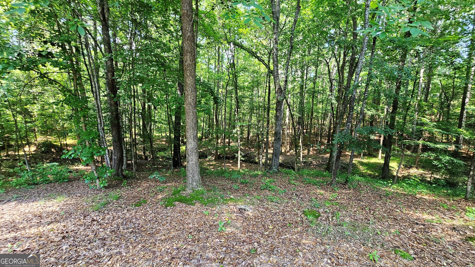 43 Ivy Mist Lane Acworth - Photo 32
