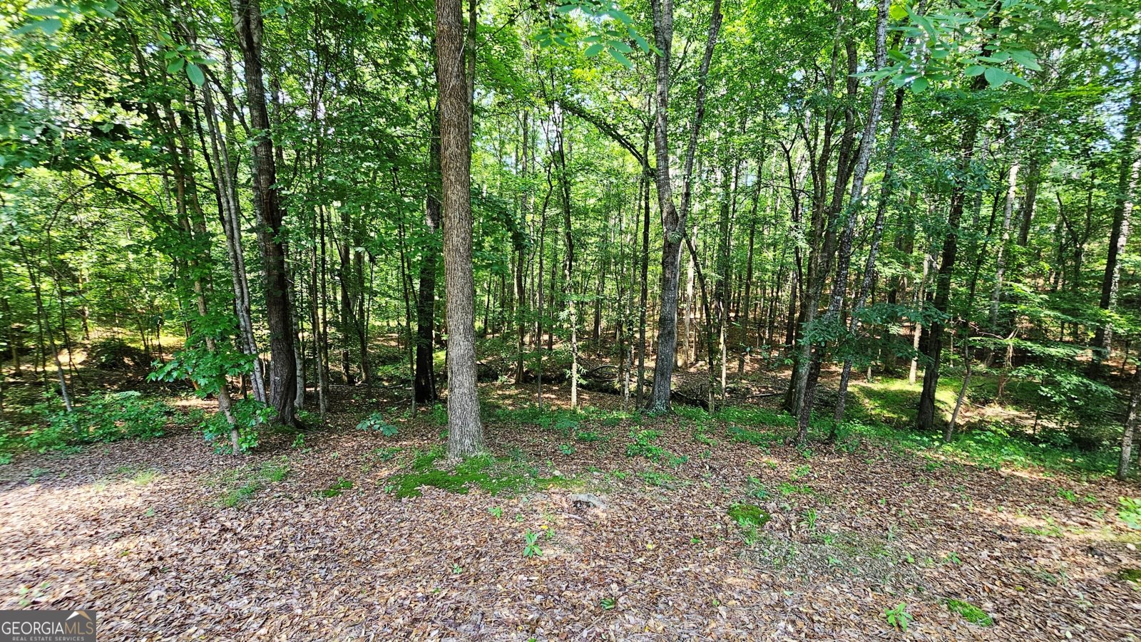 43 Ivy Mist Lane Acworth - Photo 8