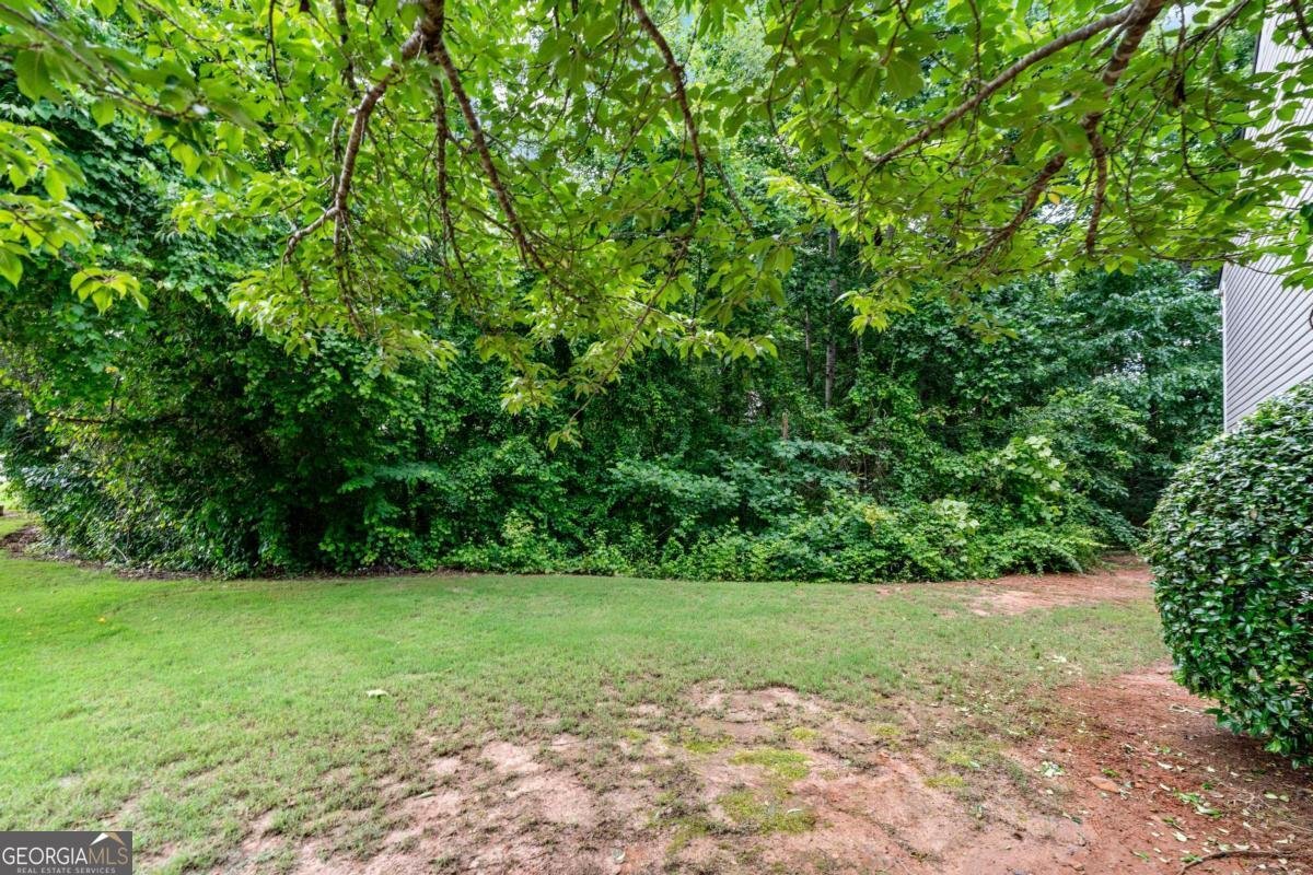 248 Springbottom Drive Lawrenceville - Photo 34