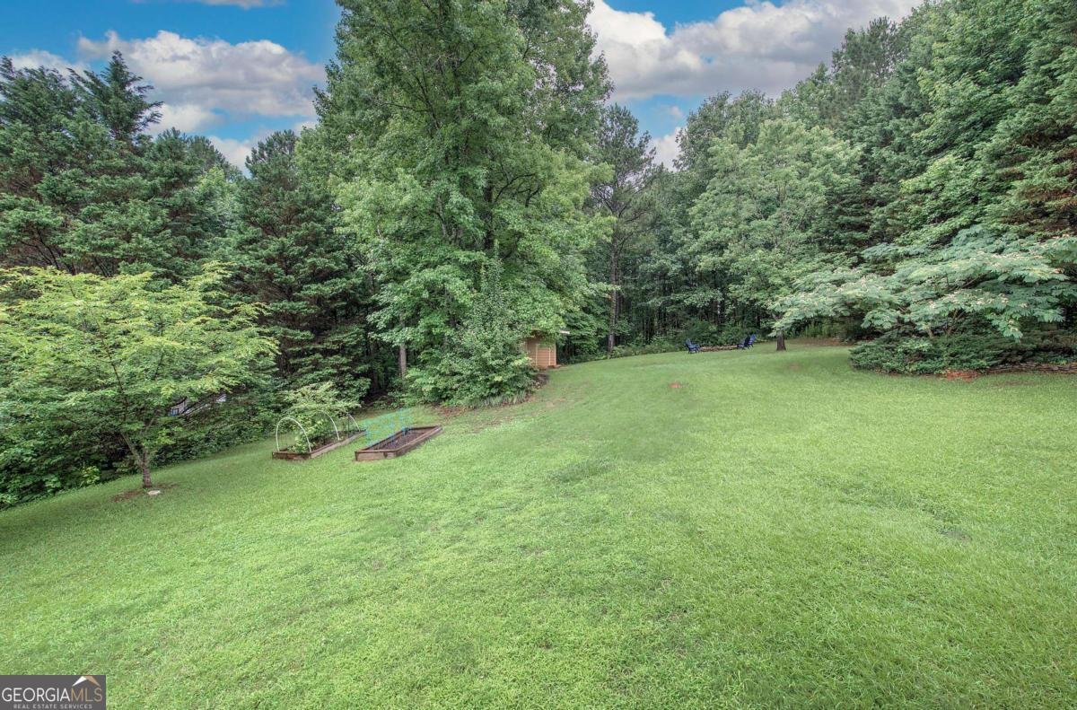 427 Jewell Cole Road Hiram - Photo 40