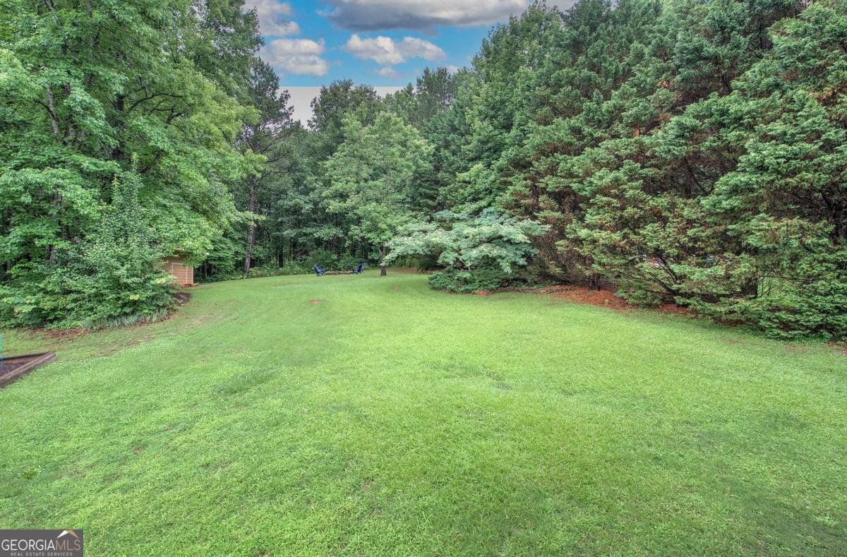 427 Jewell Cole Road Hiram - Photo 41