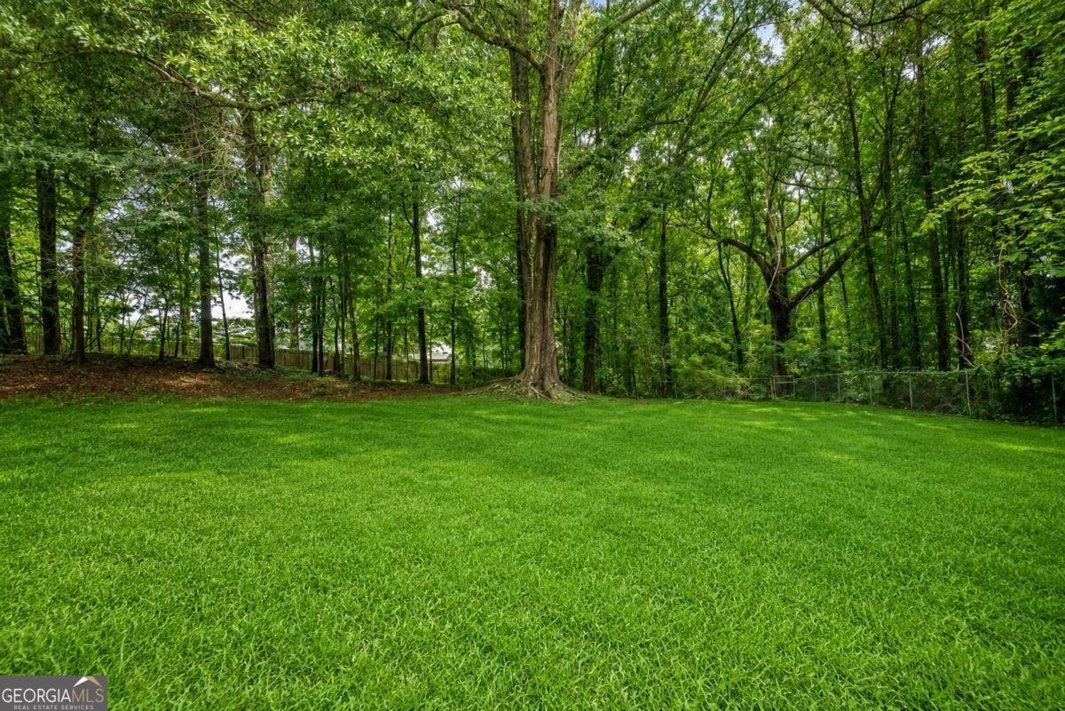 118 Black Oak Court Stockbridge - Photo 38