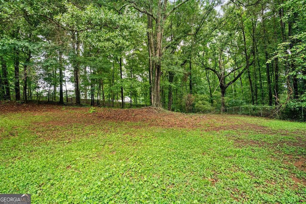 118 Black Oak Court Stockbridge - Photo 40