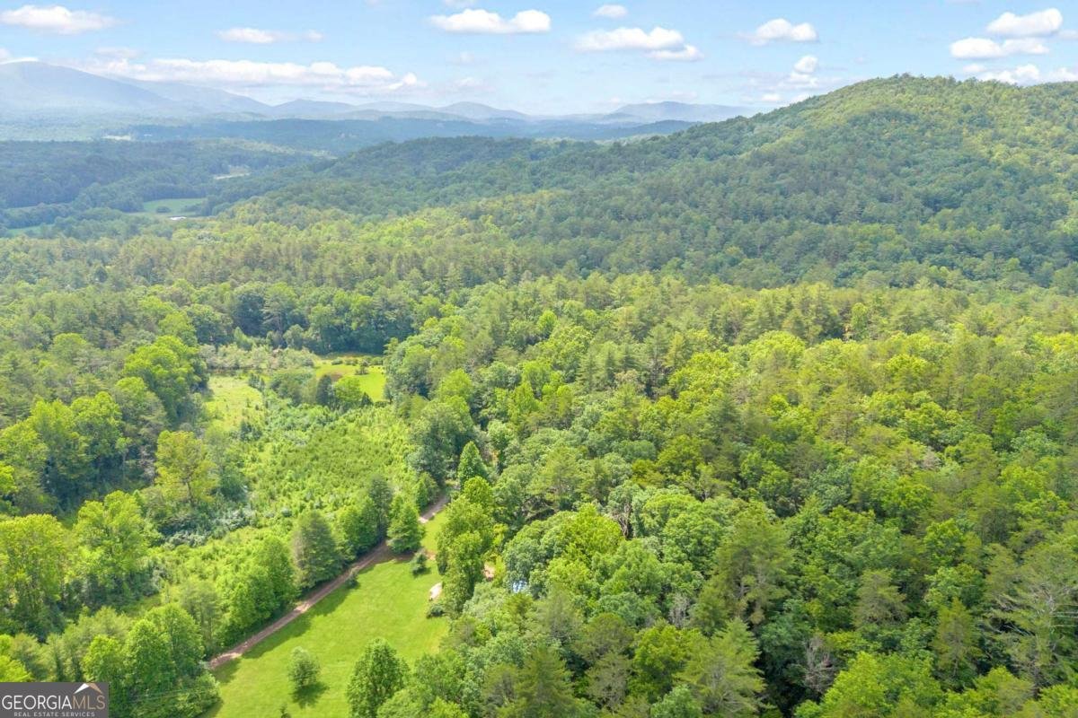110 Wilderness End Clarkesville - Photo 41