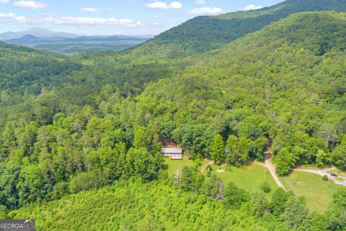 110 Wilderness End Clarkesville - Photo 42