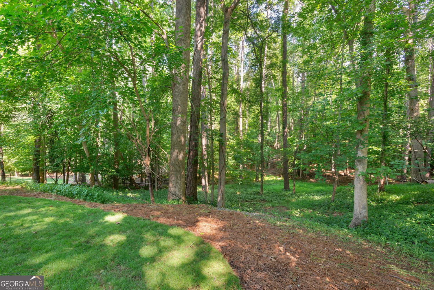 153 Junaluska Drive Woodstock - Photo 47
