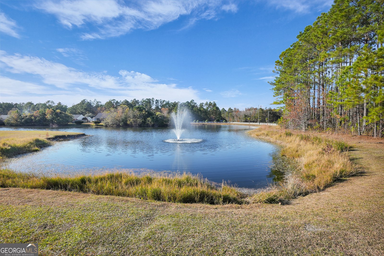 235 Timberlake Drive Guyton - Photo 40