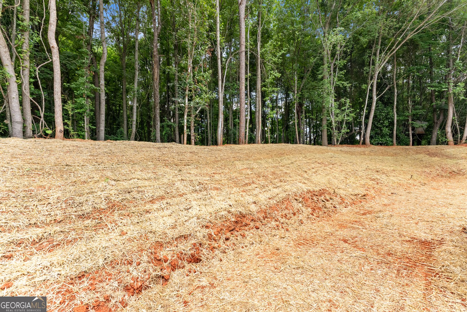 6708 Eastwind Drive Lula - Photo 50