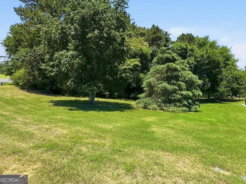 439 Honeysuckle Drive Rock Spring - Photo 54