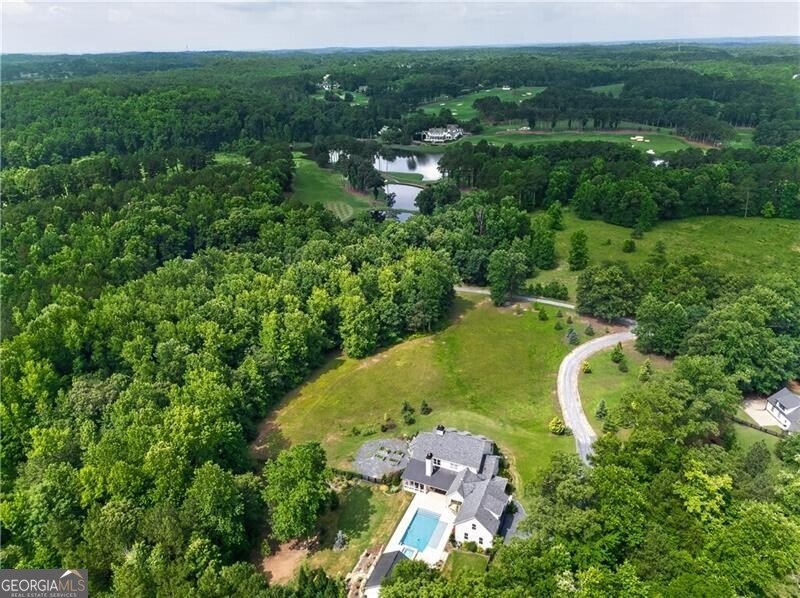 1380 Newt Green Road Cumming - Photo 6