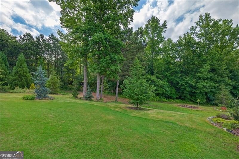 1380 Newt Green Road Cumming - Photo 81