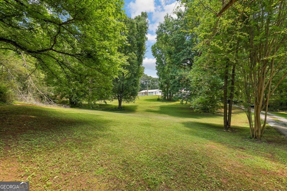 363 Burns Lane Canton - Photo 41