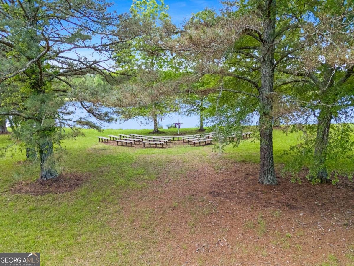0 Old Highway 100 Tallapoosa - Photo 32