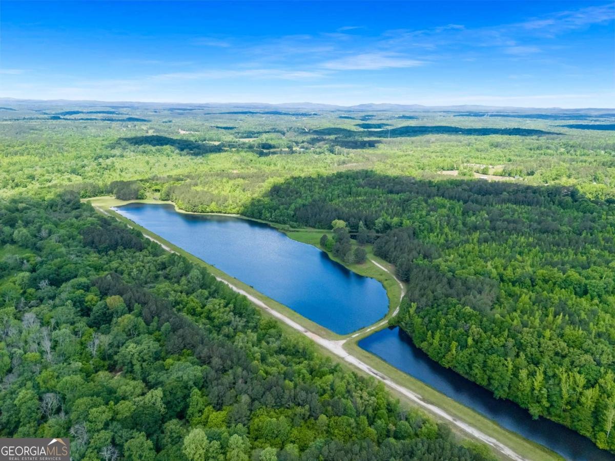 0 Old Highway 100 Tallapoosa - Photo 33