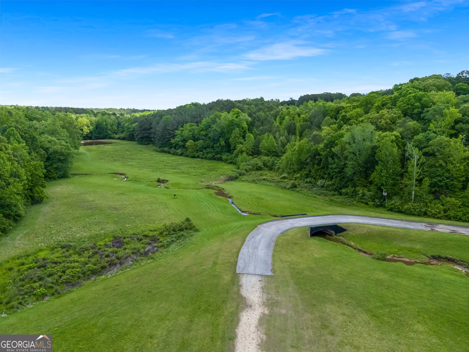 0 Old Highway 100 Tallapoosa - Photo 47