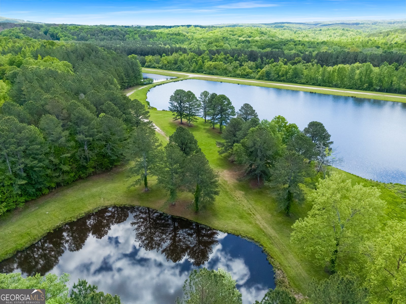 0 Old Highway 100 Tallapoosa - Photo 50