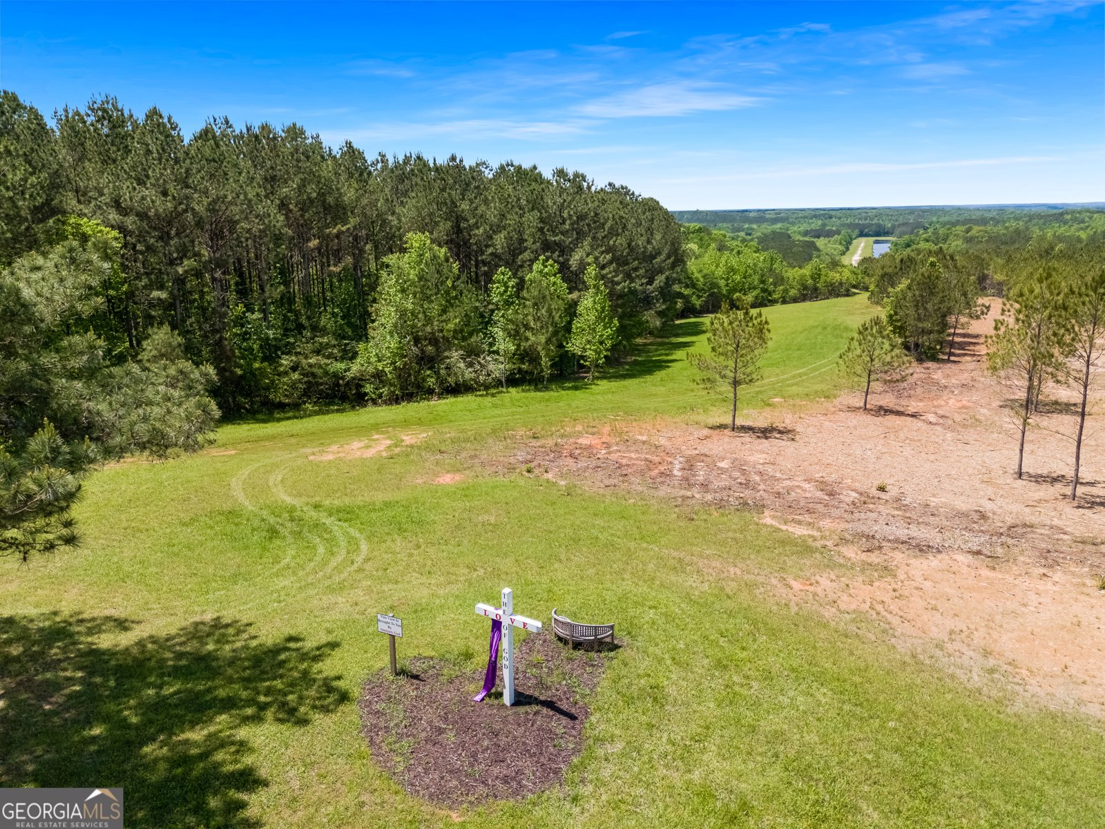 0 Old Highway 100 Tallapoosa - Photo 52