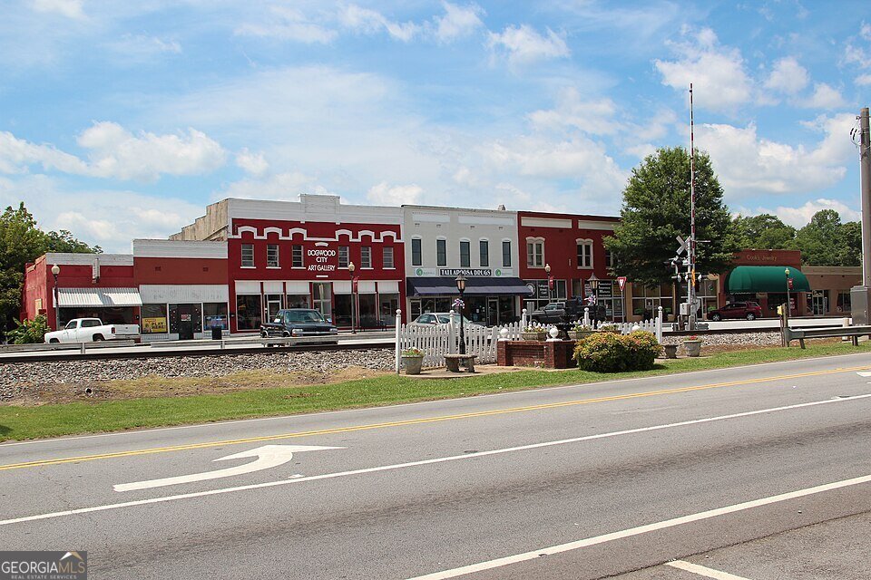 0 Old Highway 100 Tallapoosa - Photo 70