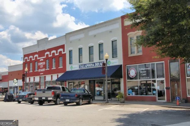 0 Old Highway 100 Tallapoosa - Photo 71
