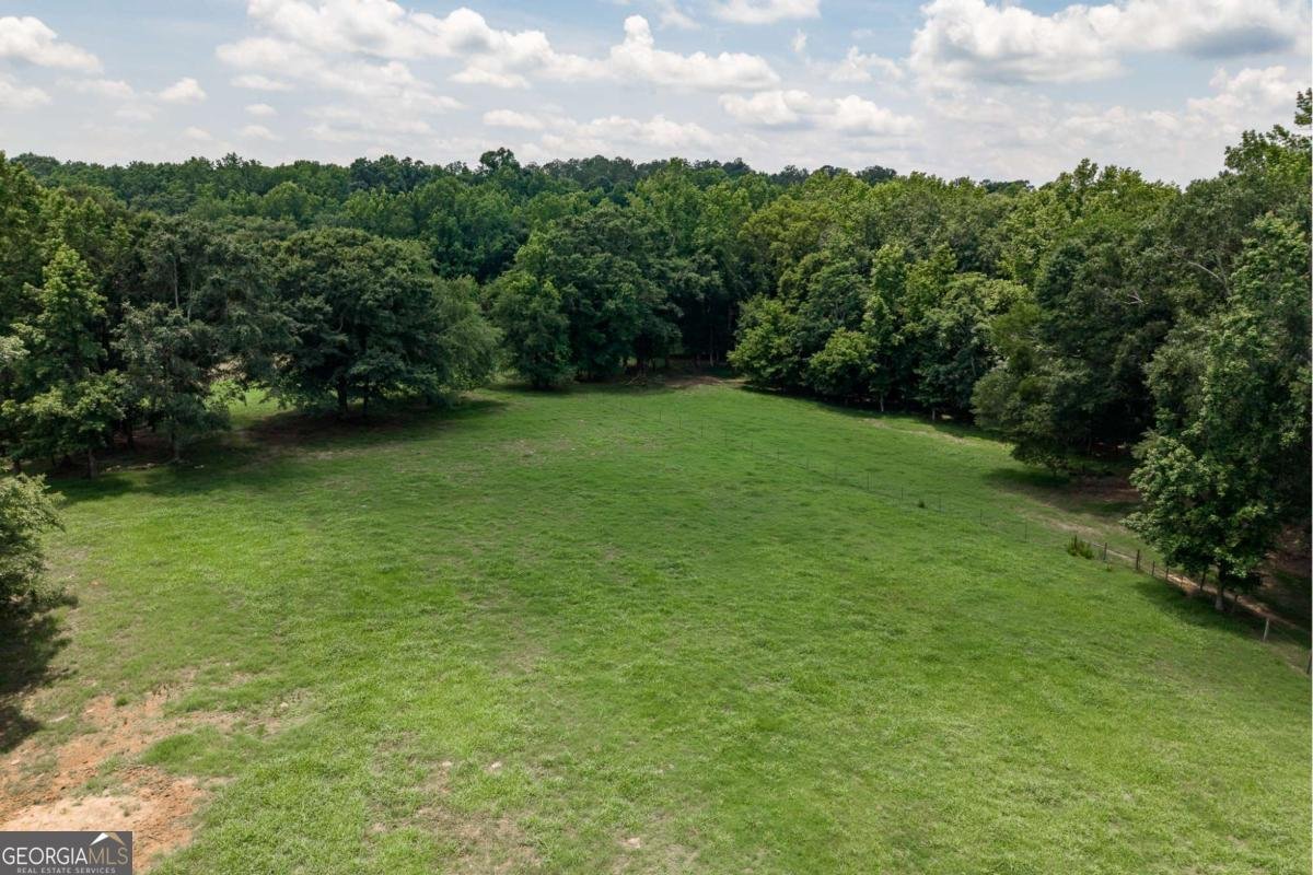 1111 Hale Road Watkinsville - Photo 75