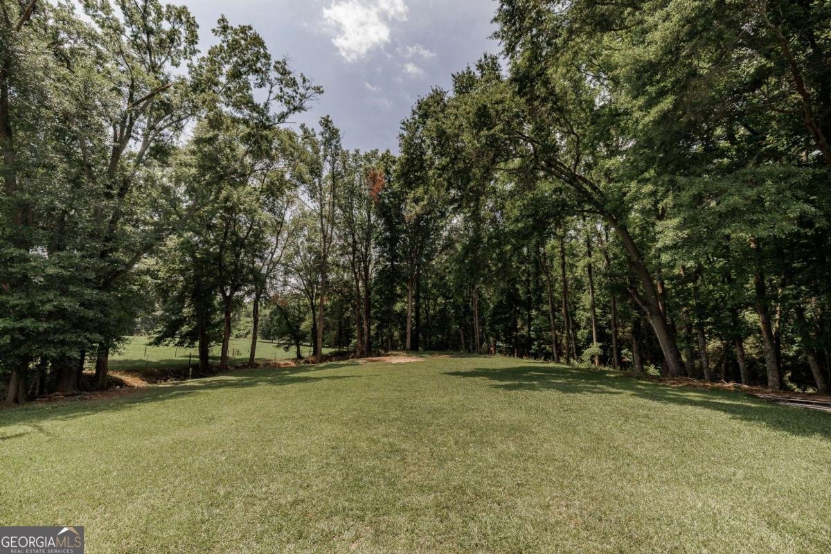 1111 Hale Road Watkinsville - Photo 85