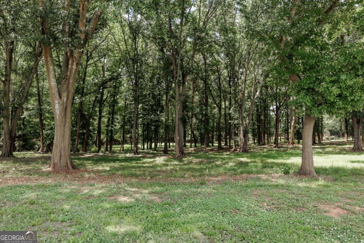 1111 Hale Road Watkinsville - Photo 86