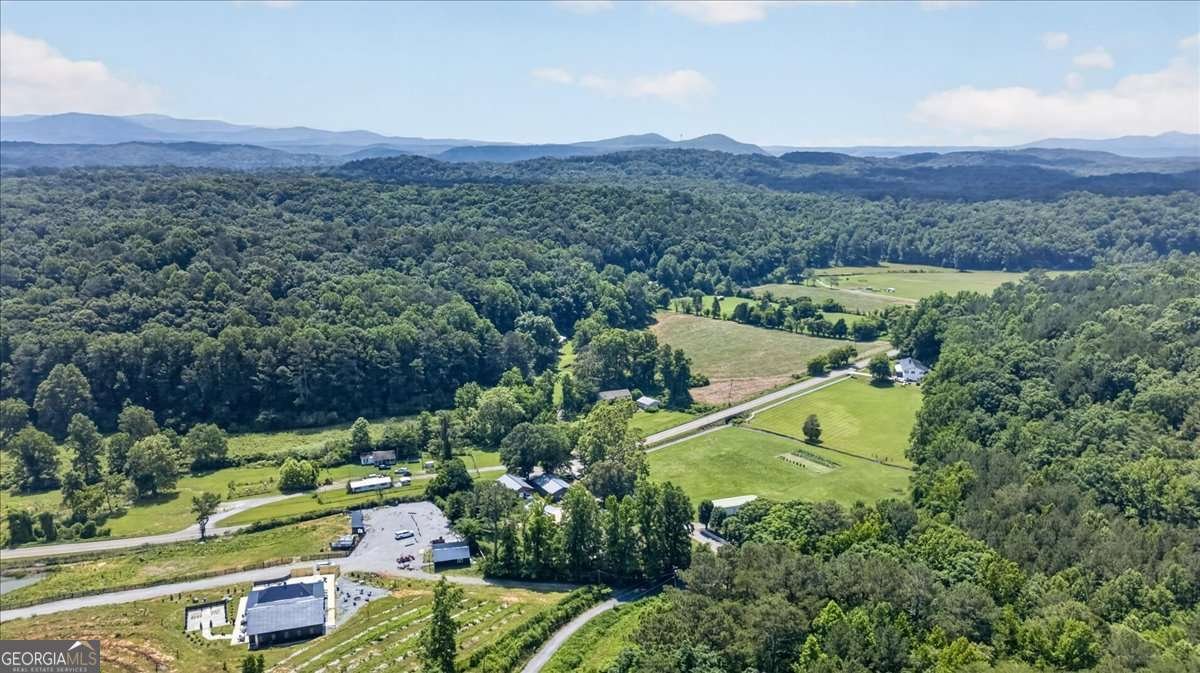 34 Bodie Road Talking Rock - Photo 85
