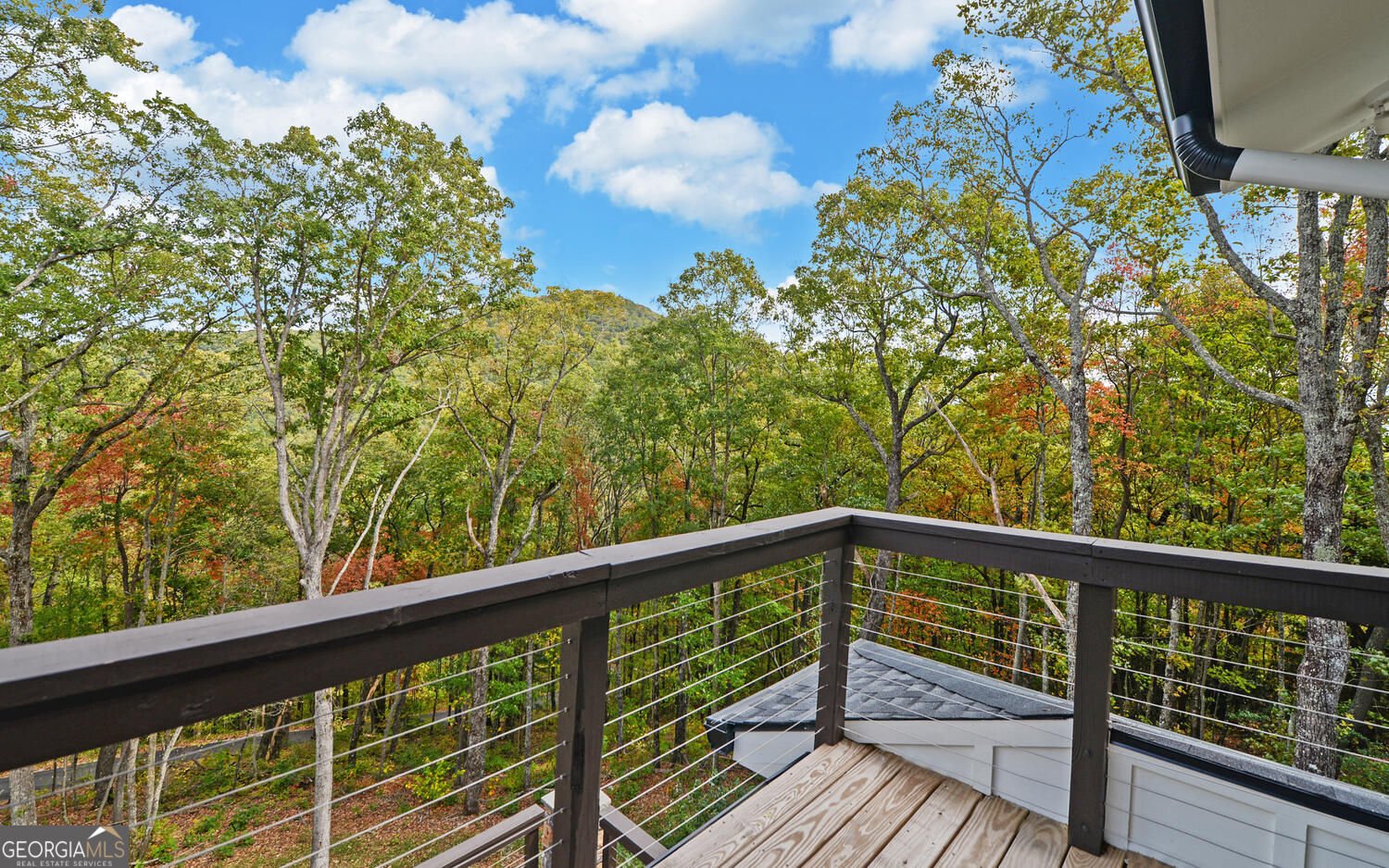 333 Favor Lane Rabun Gap - Photo 56