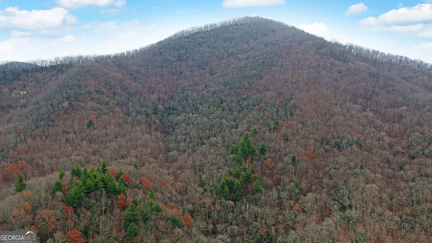 333 Favor Lane Rabun Gap - Photo 86