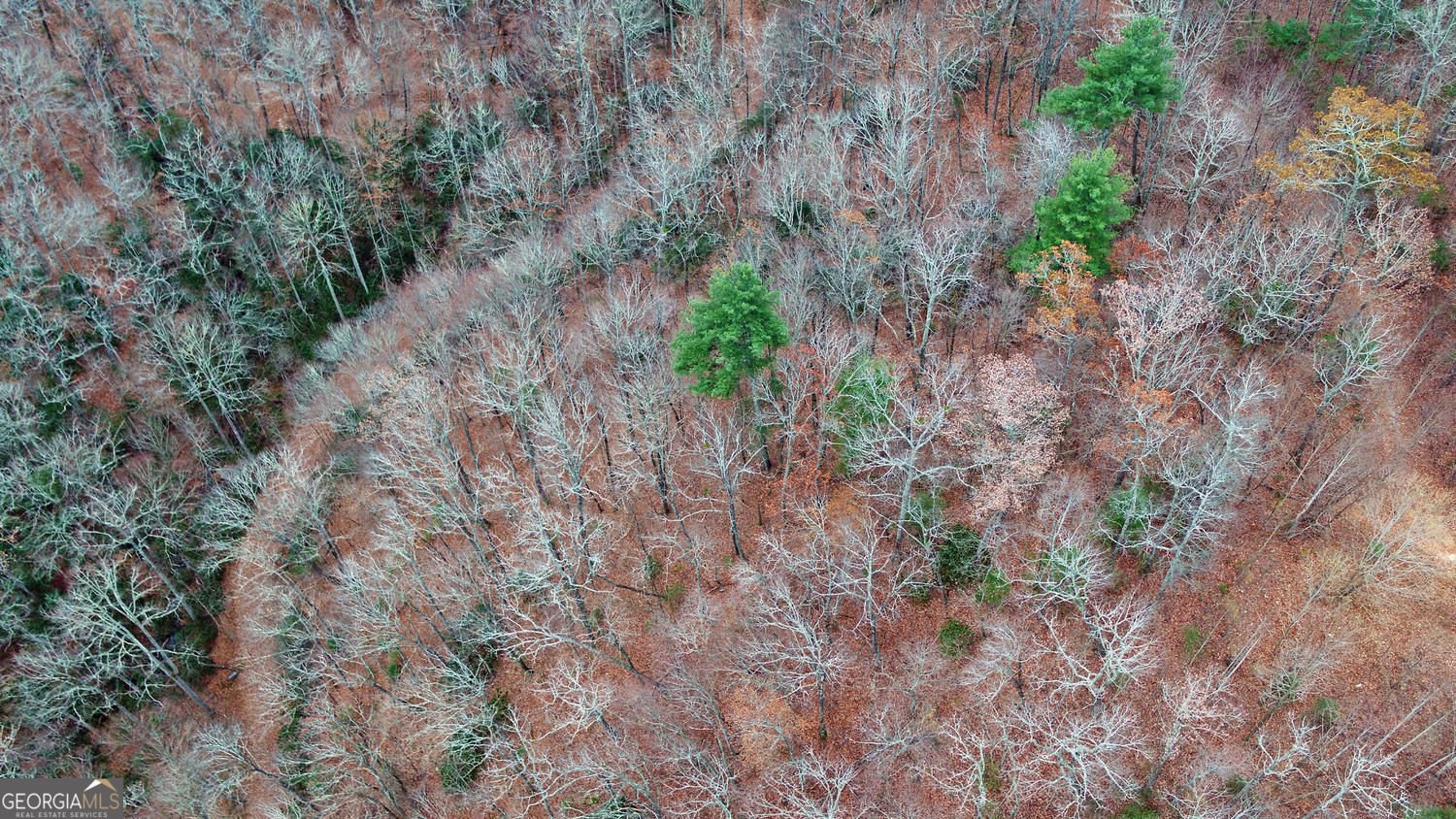 333 Favor Lane Rabun Gap - Photo 87