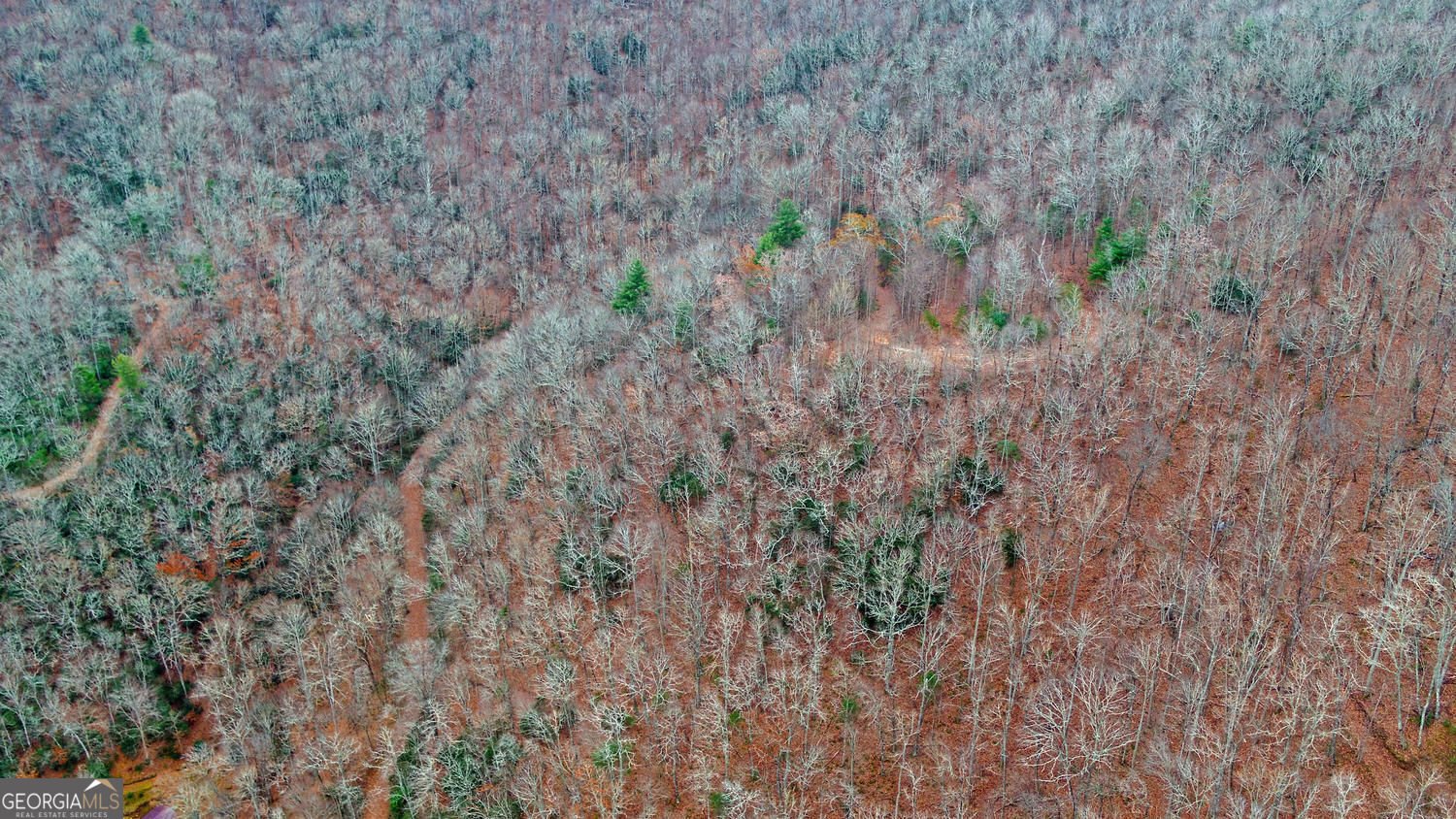 333 Favor Lane Rabun Gap - Photo 89
